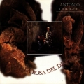 Antonio Calogero - La Rosa Del Deserto Antonio Calogero - La Rosa Del Deserto